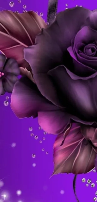 Purple rose wallpaper with elegant floral design.