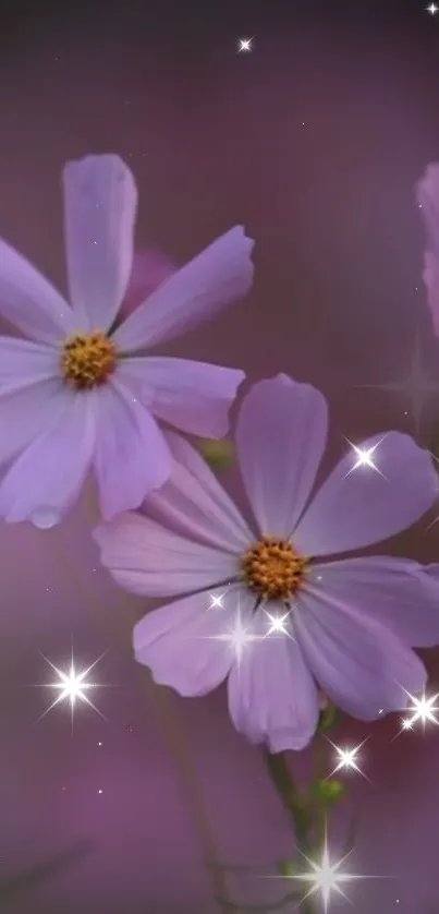 Purple flowers with sparkling stars on a dreamy background.