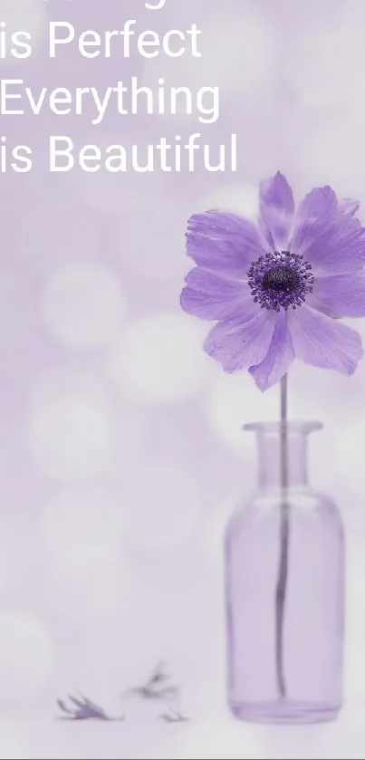 Lavender flower in a vase with a motivational quote on a light bokeh background.