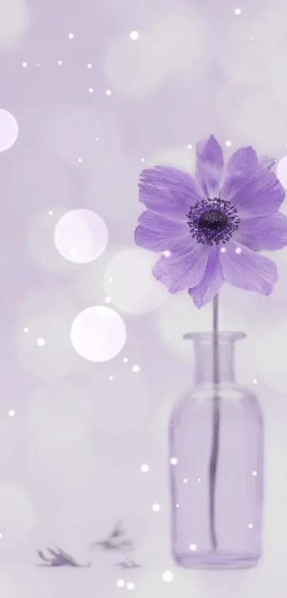 Purple flower in a vase on soft lavender background wallpaper.