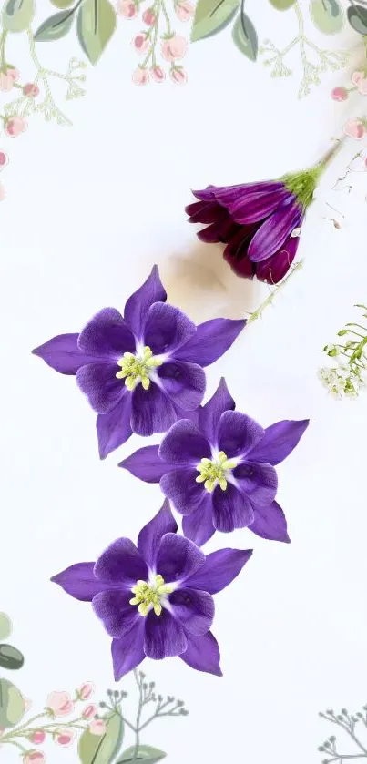 Purple flowers on a white background with botanical details.