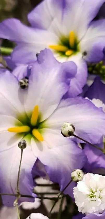 Purple flowers with delicate details and soft white accents.