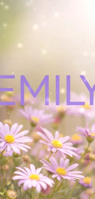 Lavender daisies in a soft, dreamy haze with 'EMILY' text overlay.