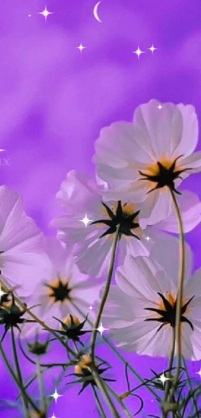 White flowers under a purple night sky with a small crescent moon.