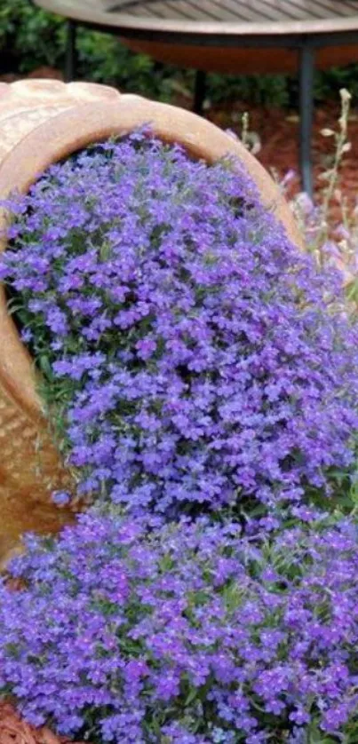 Purple flowers overflowing from a pot in a garden setting.