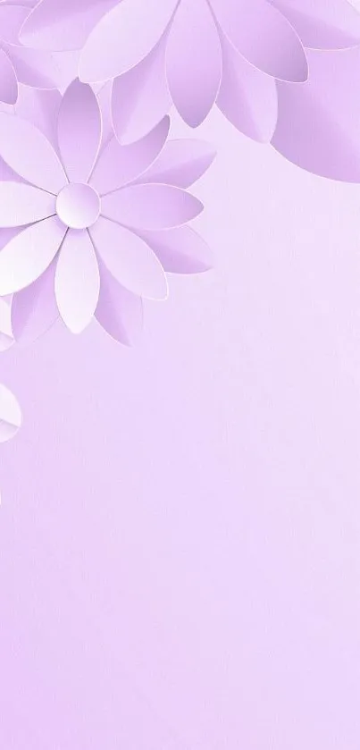 Beautiful lavender wallpaper with floral design.