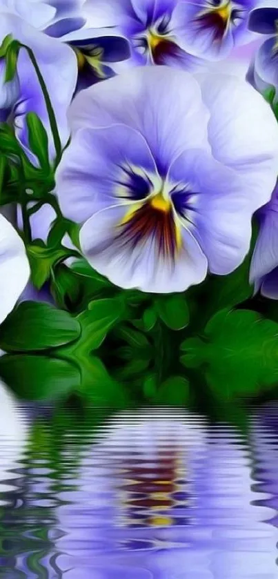 Vibrant purple pansies with reflection on water.