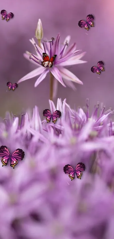 Purple flower with butterflies wallpaper for mobile.