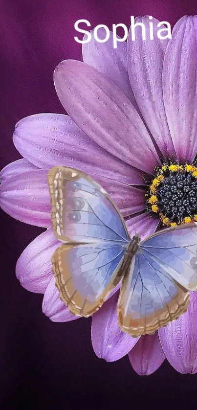 Purple flower with blue butterfly wallpaper.