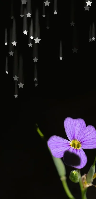 Purple flower with falling stars on dark background wallpaper.