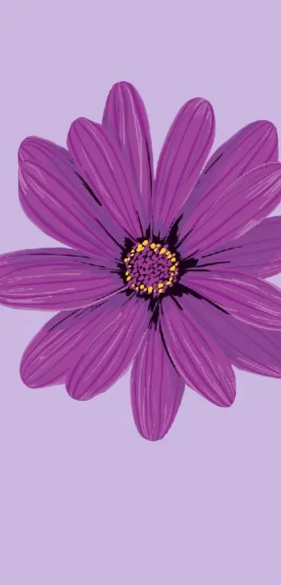 Artistic purple flower on a lavender background.