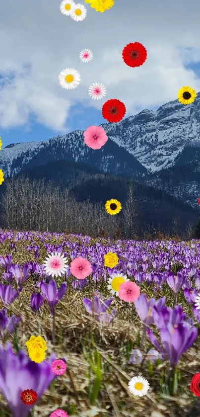 Vivid purple flowers bloom beneath snow-capped mountains.