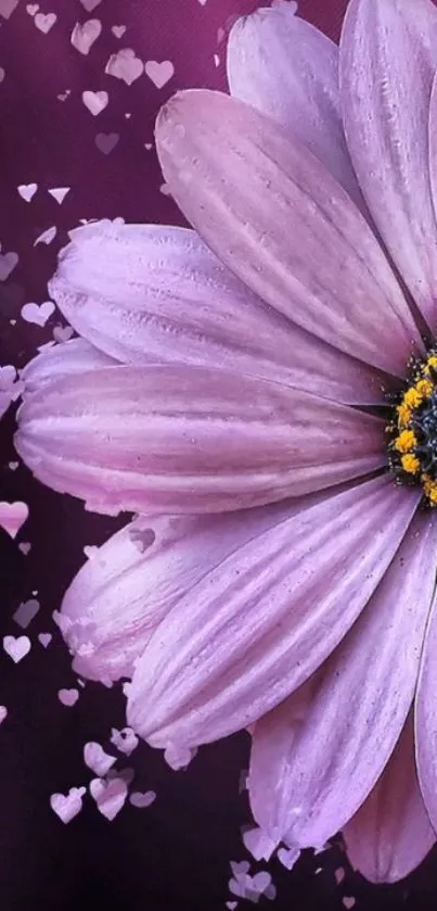 Purple daisy with heart patterns on a dark background for mobile screen.