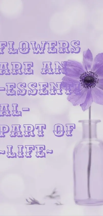 Purple flower in a glass vase with inspirational text on a lavender background.