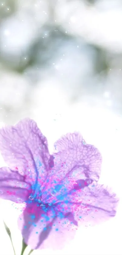 Purple flower with minimalist bokeh background for mobile wallpaper.