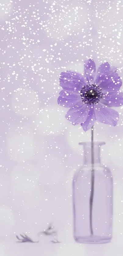 Purple flower in vase with bokeh background wallpaper.