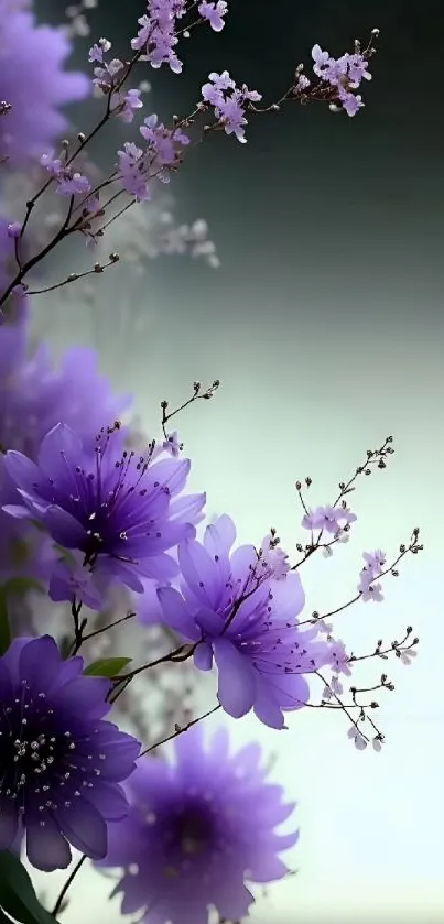 Purple flowers with a soft gradient background, perfect for mobile wallpaper.