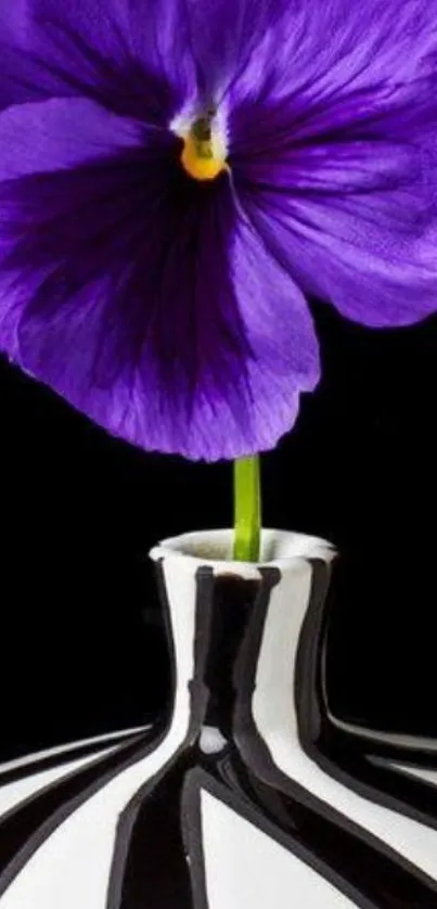 Purple flower in black and white vase art wallpaper.