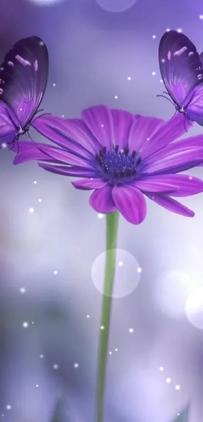 Purple flower with two butterflies on soft-focus background.