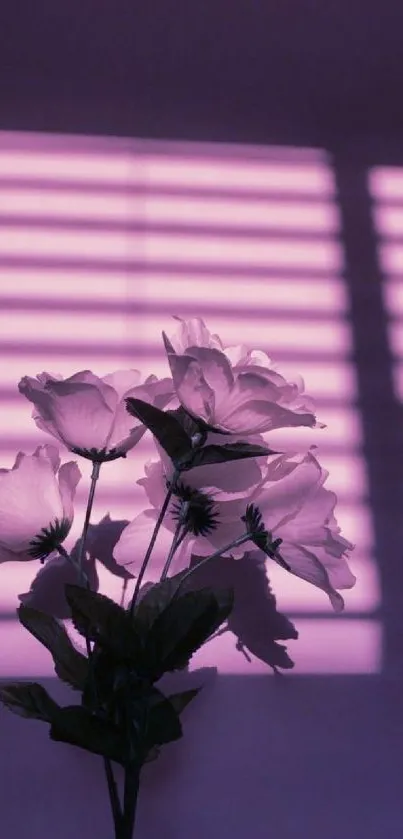 Purple flower silhouette with soft shadows on a vibrant background.