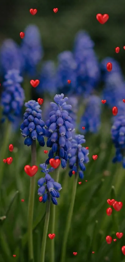 Purple flowers and red hearts in a garden wallpaper.