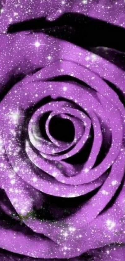 Purple galaxy rose wallpaper with stars.