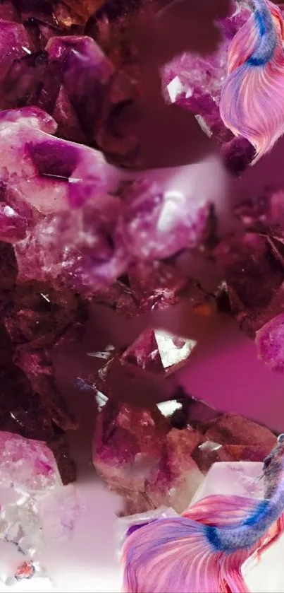 Purple gemstone background with colorful Betta fish accents.