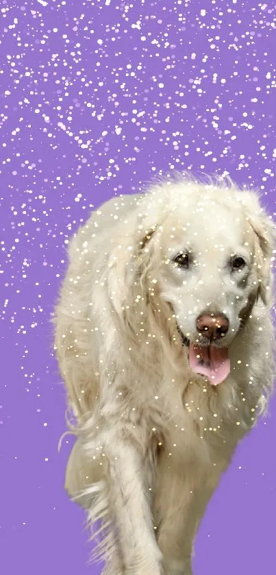 Cheerful dog with purple gemstone background wallpaper.