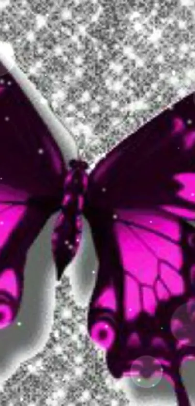 Purple butterfly on glittering silver background.