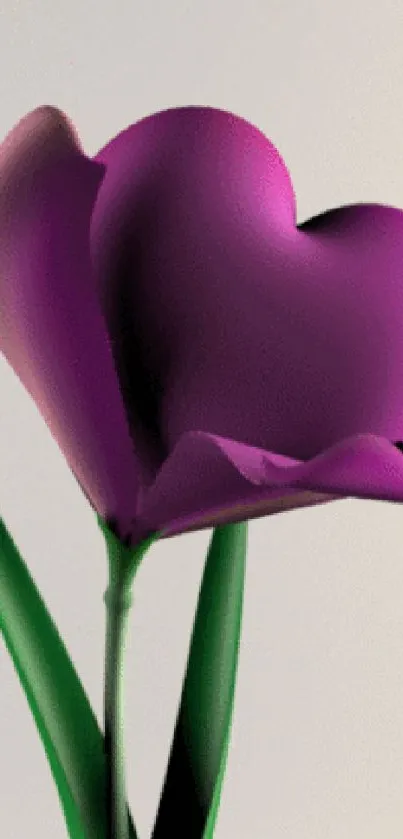 Purple heart-shaped flower on green stem.