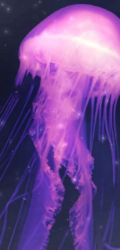 Purple jellyfish in a dark ocean background.