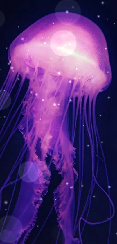 Glowing purple jellyfish on a deep blue background mobile wallpaper.