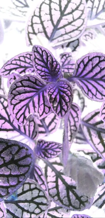 Purple and green leaf pattern wallpaper for mobile devices.