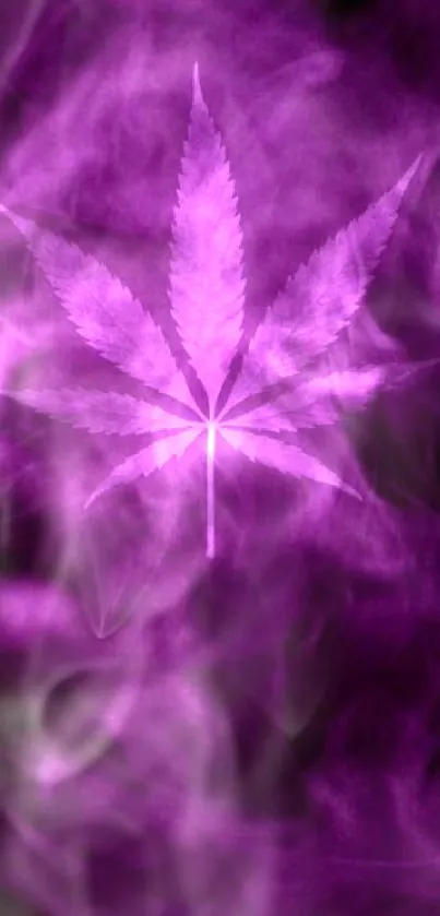 Purple leaf with smoke effect mobile wallpaper.