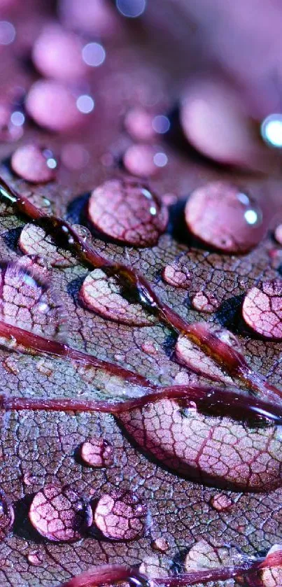 Close-up of a purple leaf with water droplets, showcasing intricate details.
