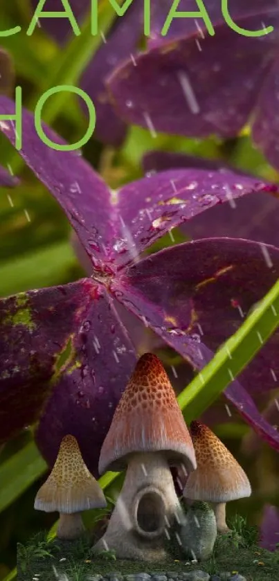 Purple leaves and small mushrooms amidst lush greenery.