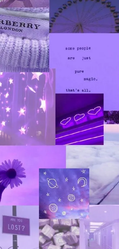 Purple Light Violet Live Wallpaper