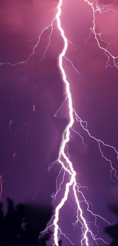 Striking purple lightning bolt against a dark sky, creating a dynamic and vibrant wallpaper.