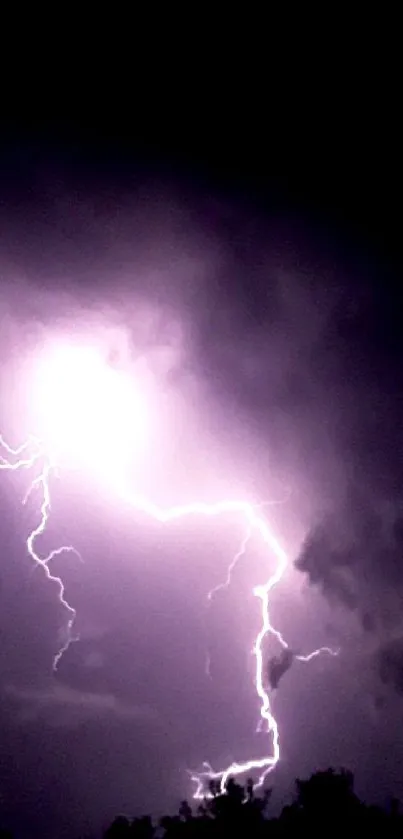 Purple lightning strikes against a dark sky.