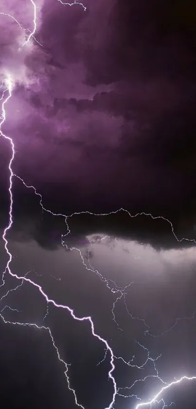 Purple lightning strikes through dark clouds in a night sky wallpaper.