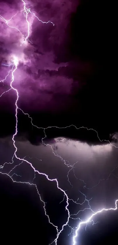 Dynamic purple lightning storm wallpaper with striking clouds.