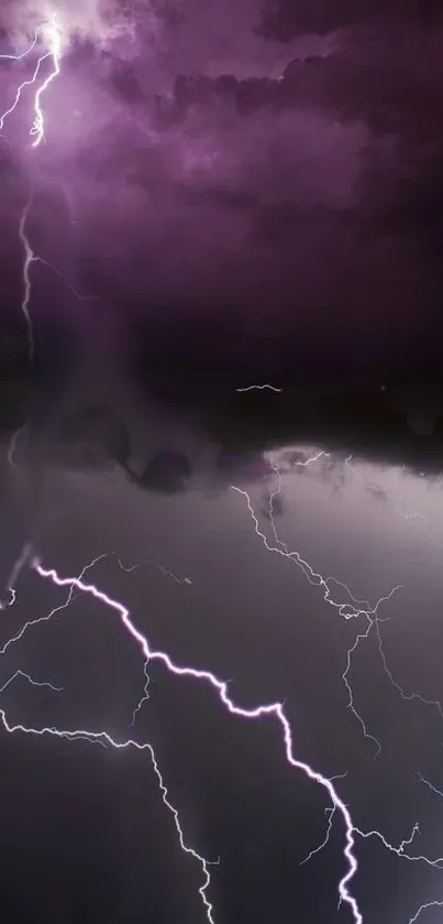 Purple lightning bolts streak across a dark stormy sky.