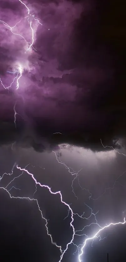 Electrifying purple lightning storm illuminating night sky.