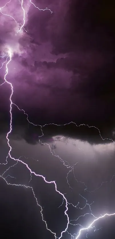 Purple lightning storm clouds with vibrant electric streaks.