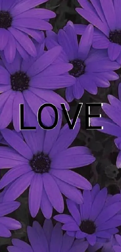 Purple flowers with 'LOVE' text mobile wallpaper.