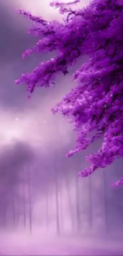 Purple tree with misty purple background for phone wallpaper.