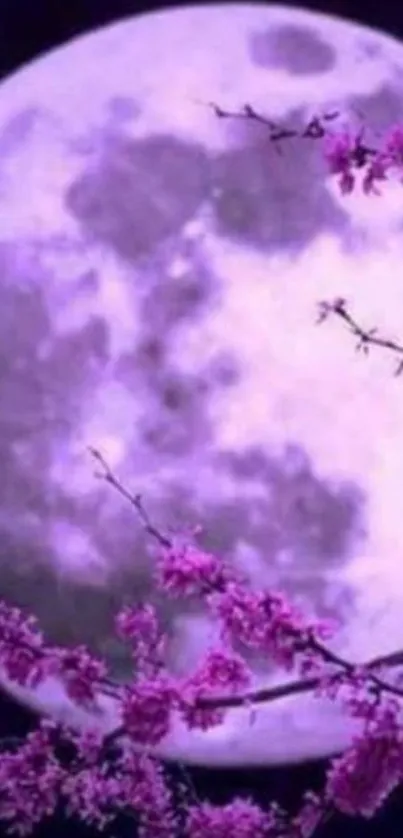 Purple moon with cherry blossoms in night sky.