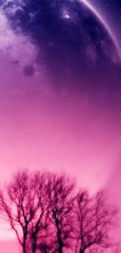 Purple moonlit landscape with silhouetted trees.