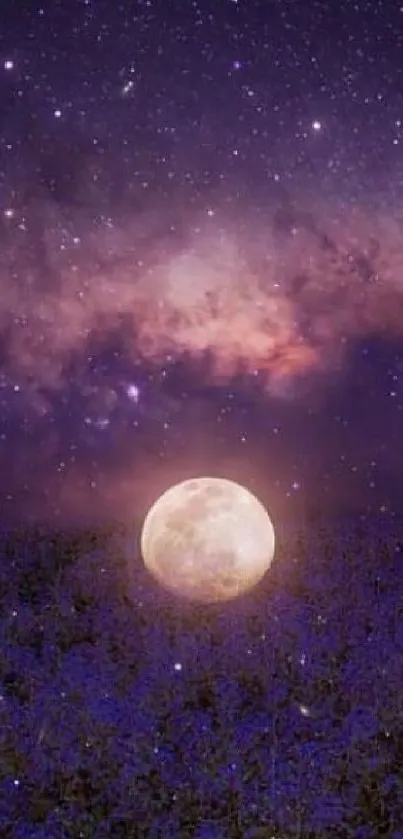 Purple night sky with moon over lavender field wallpaper.