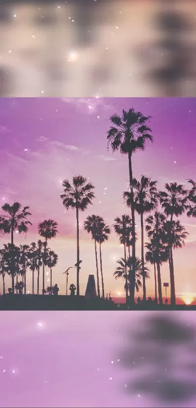 Silhouetted palm trees against a vibrant purple sunset sky.